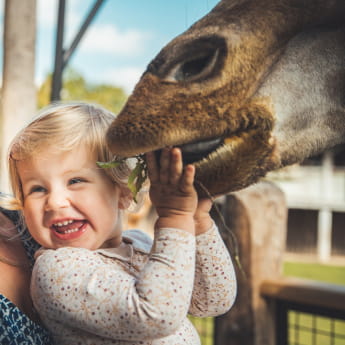 Zoo d&#039;Amnéville