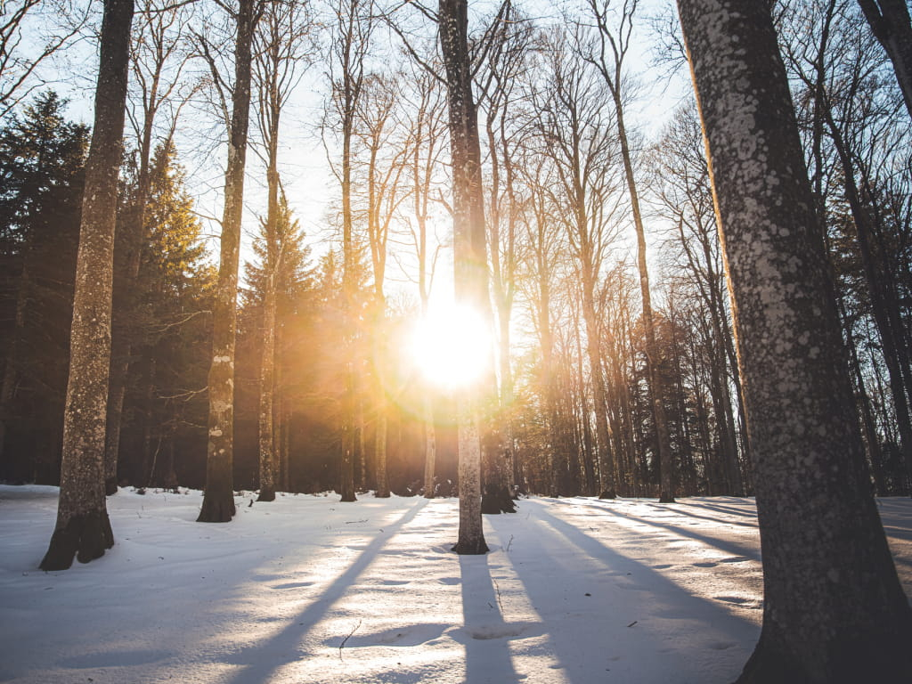 Randonnée raquettes