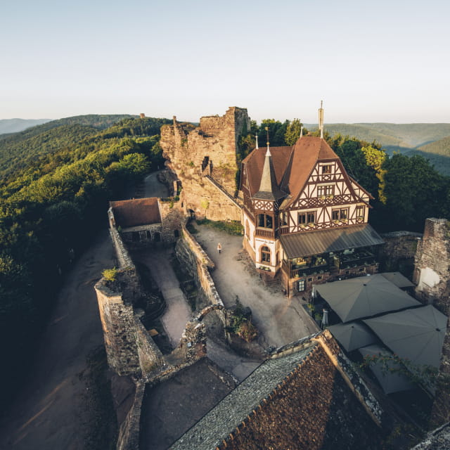 Château du Haut-Barr