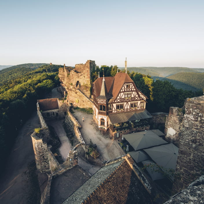 Château du Haut-Barr