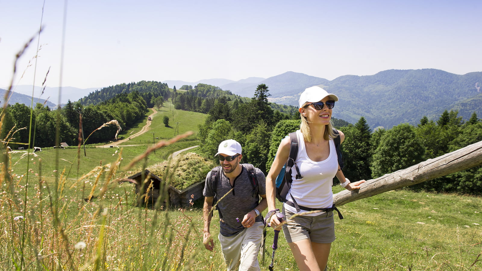 Massif des Vosges, randonnée à la station du Markstein,