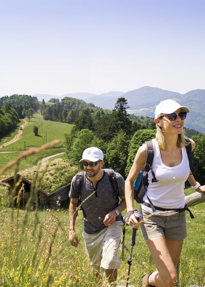 Massif des Vosges, randonnée à la station du Markstein,