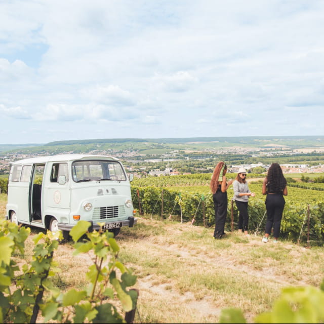 Balande en estafette dans les vignes