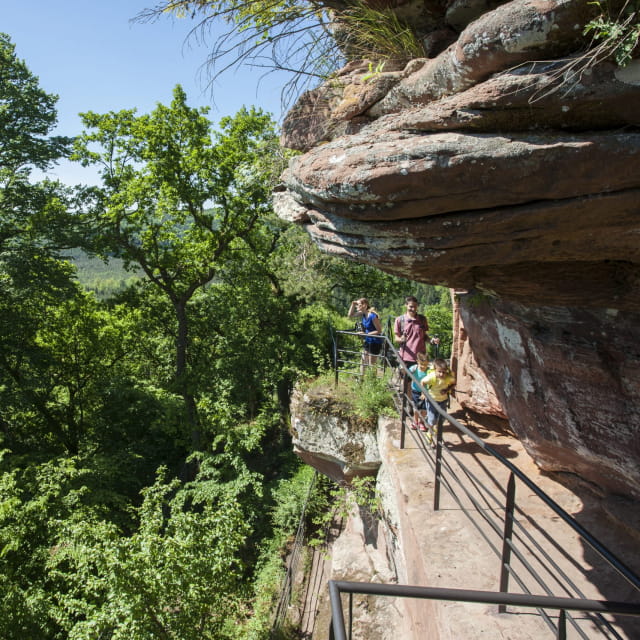 Randonnée à Bitche