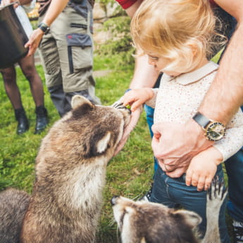 Zoo d&#039;Amnéville