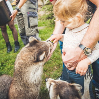 Zoo d&#039;Amnéville