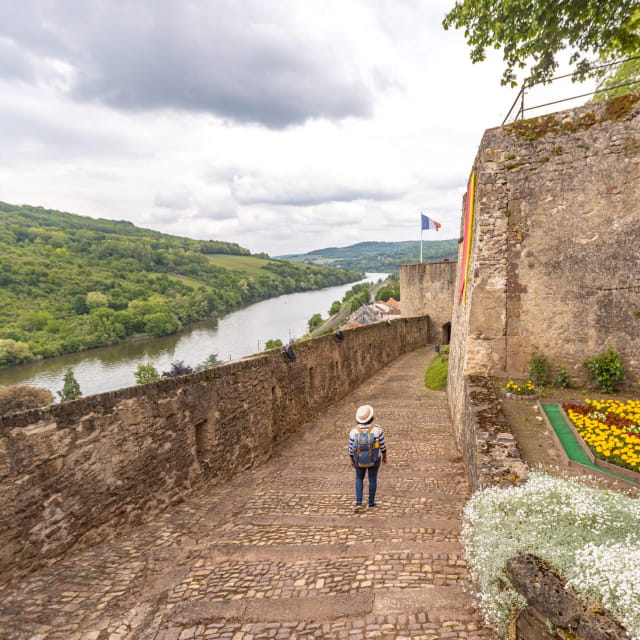 Château des Ducs de Lorraine