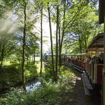 Train à vapeur Se prendre au jeu