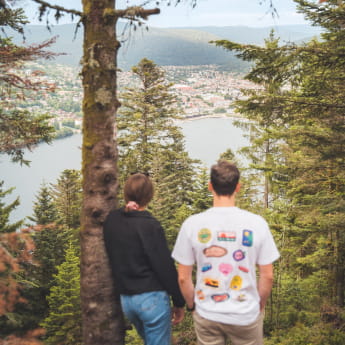 Point de vue depuis la tour de Merelle