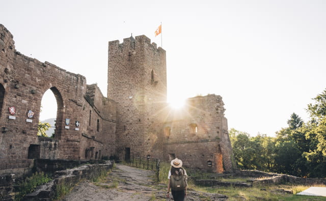 Château de Wangenbourg