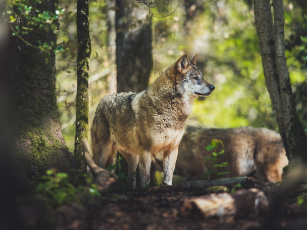 Parc Argonne Découverte