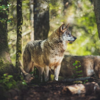 Parc Argonne Découverte