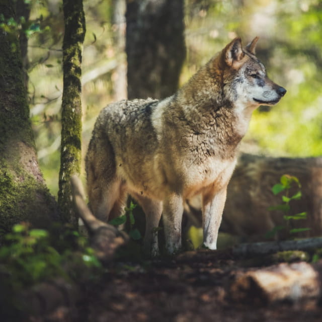 Parc Argonne Découverte