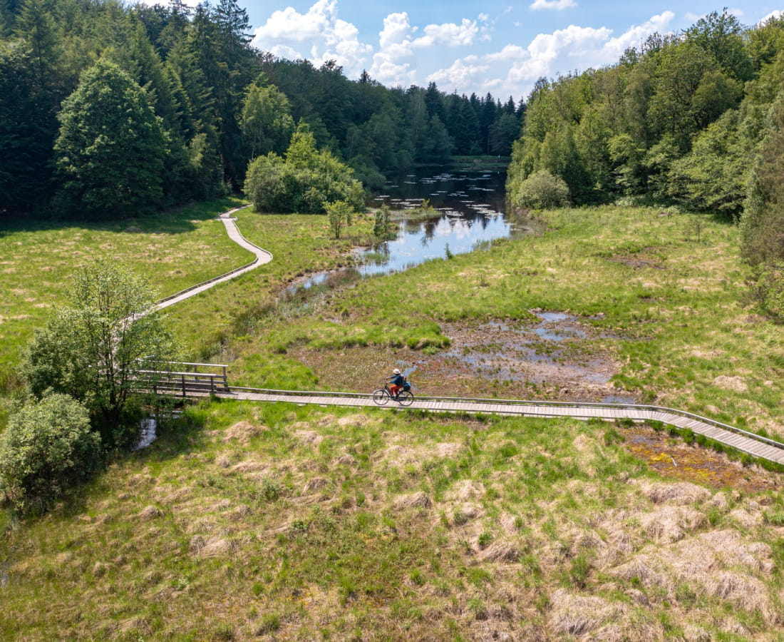 Etang de la Comtesse - Les Forges