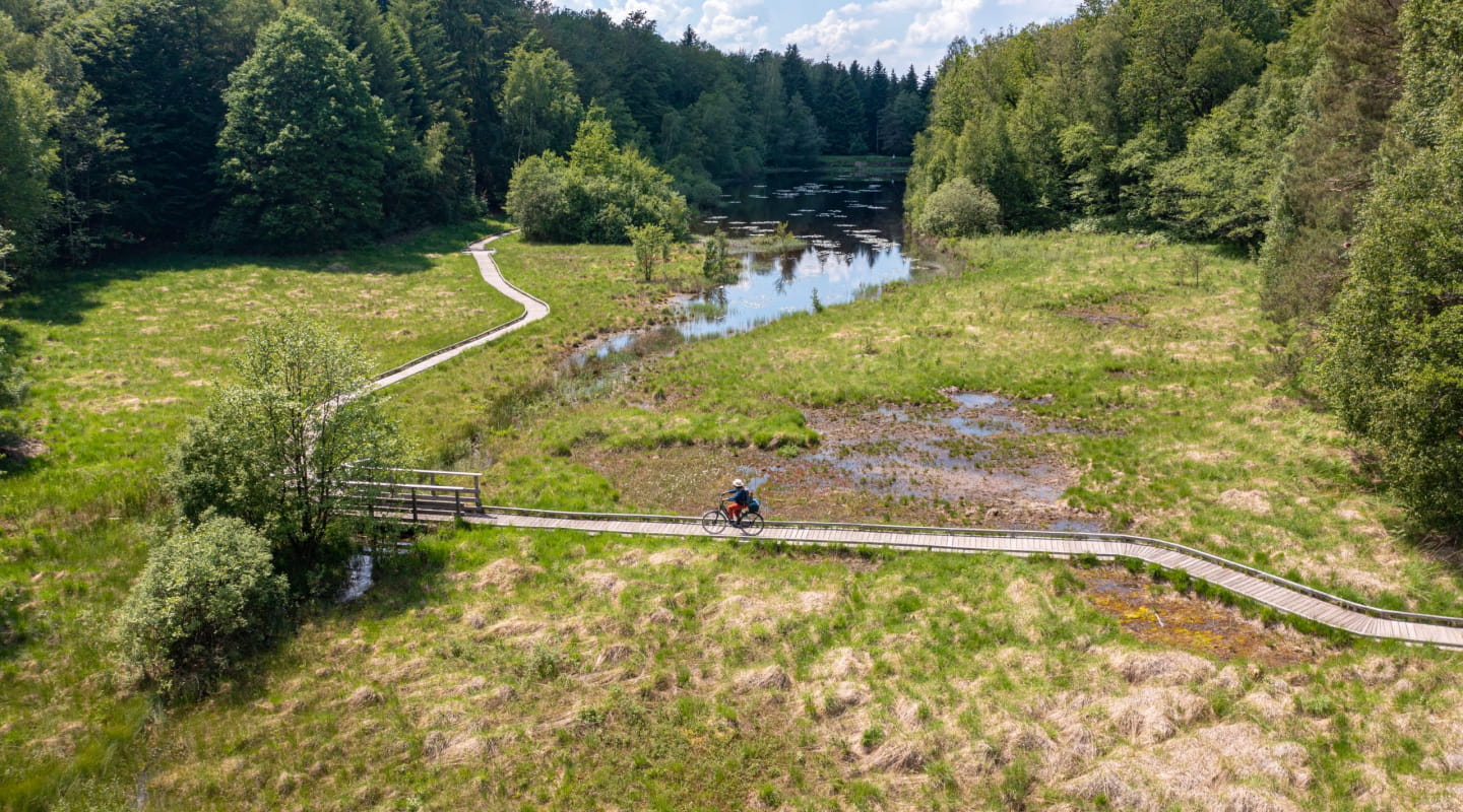 Etang de la Comtesse - Les Forges
