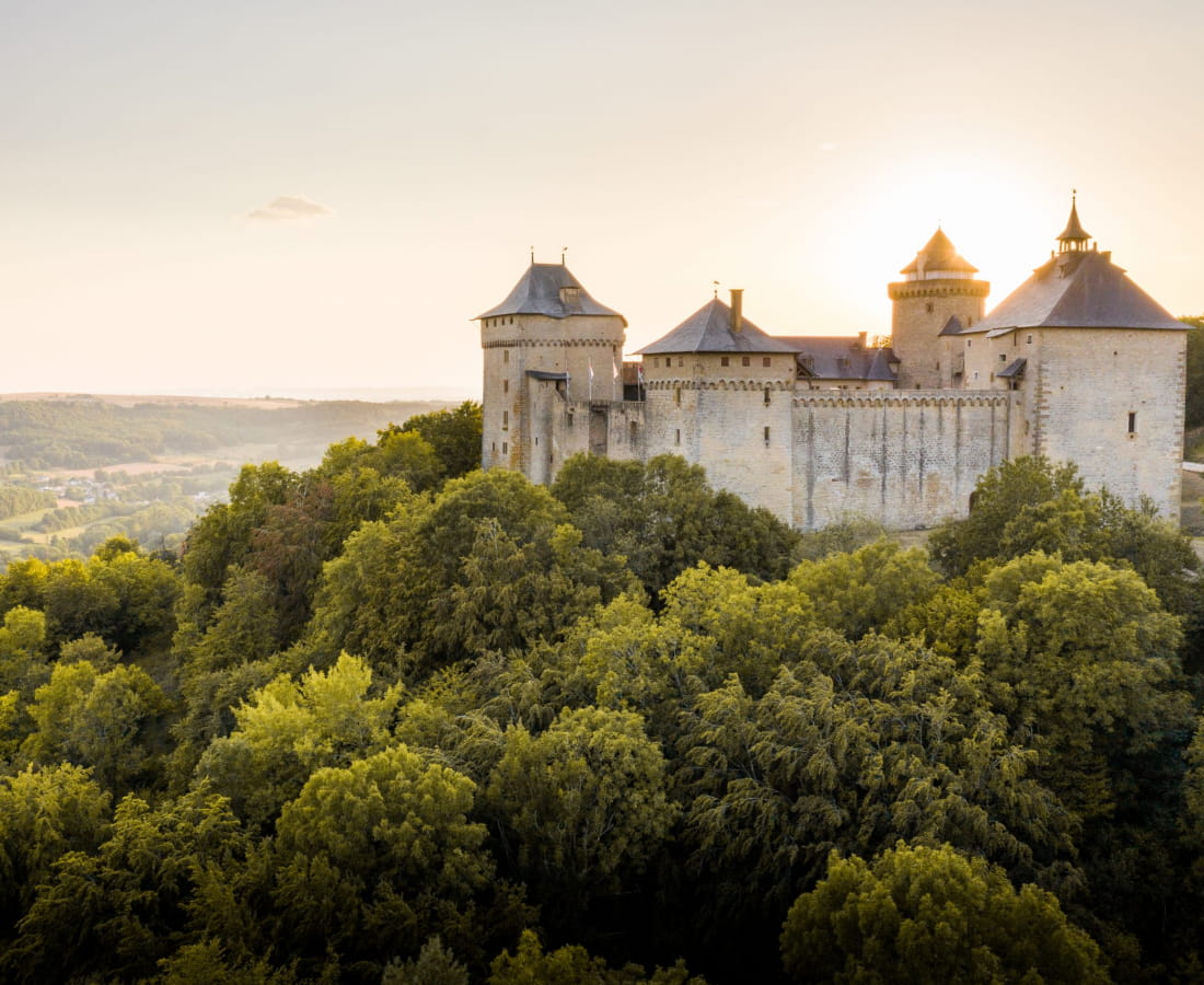 Château de Malbrouck (57)