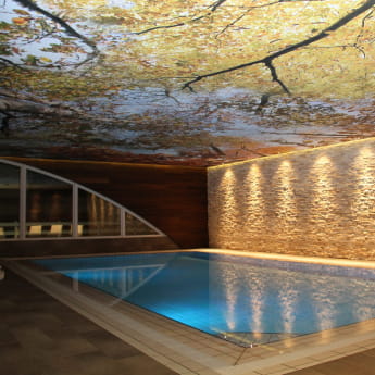 Piscine de l&#039;Hôtel l&#039;Orée du Bois