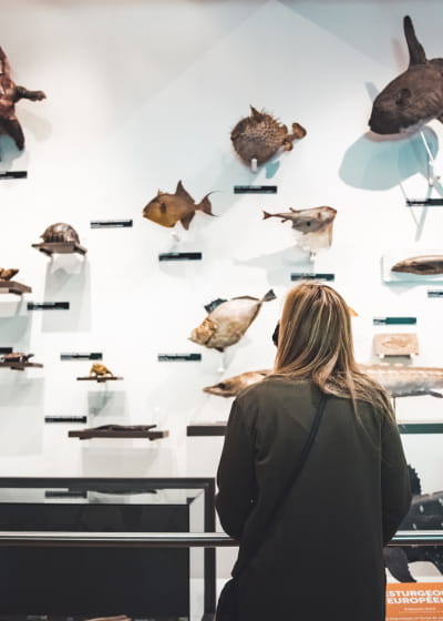 Muséum Aquarium de Nancy