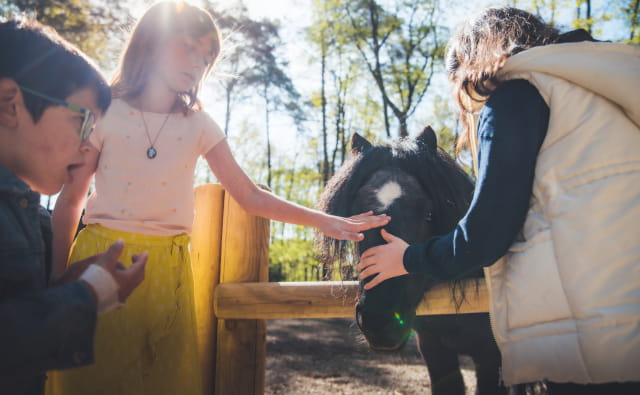 Parc Argonne Découverte