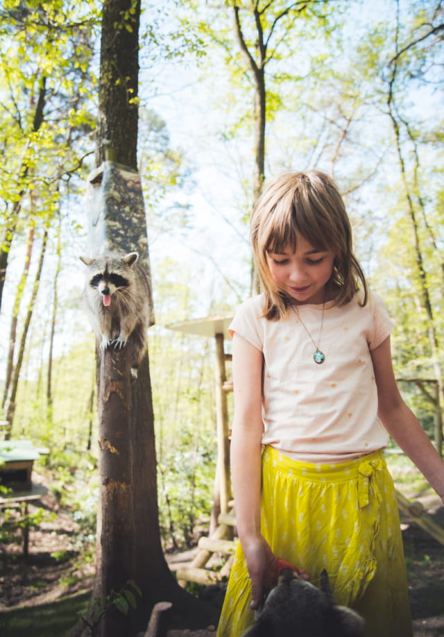 Parc Argonne Découverte