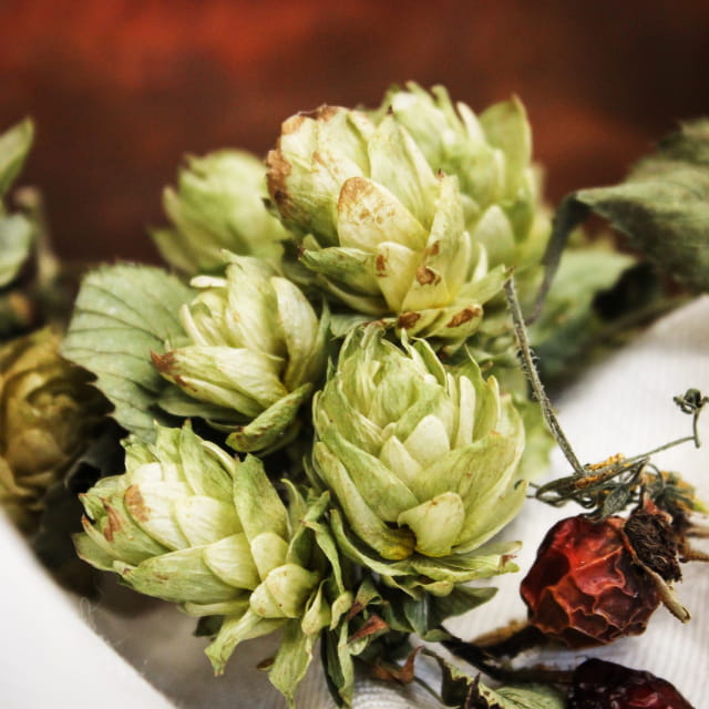 Houblon - Villa Météor