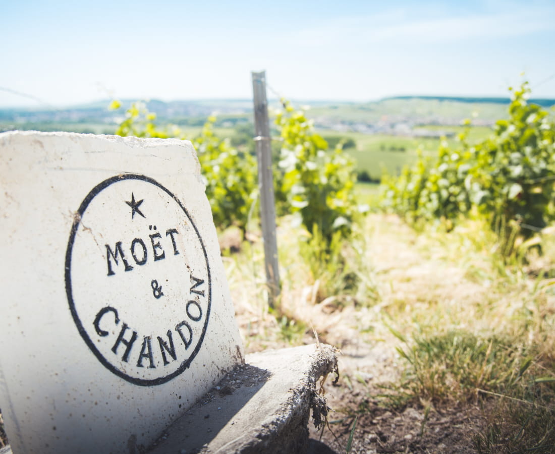 Borne Moët &amp; Chandon