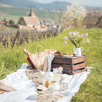 Petit déjeuner dans les vignes
