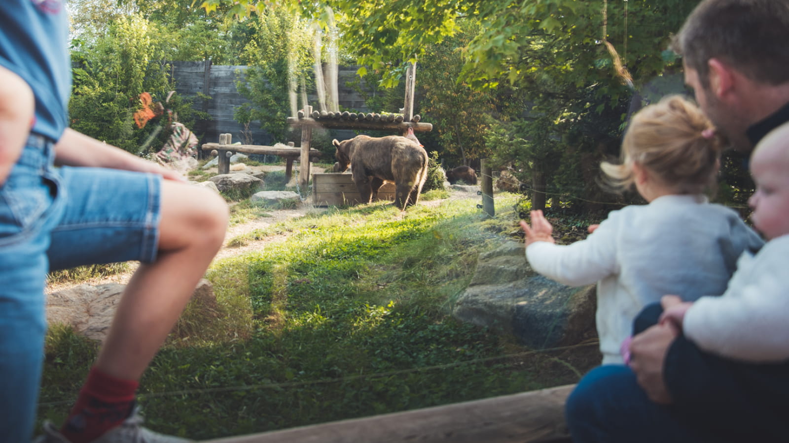 Les parcs animaliers du Grand Est