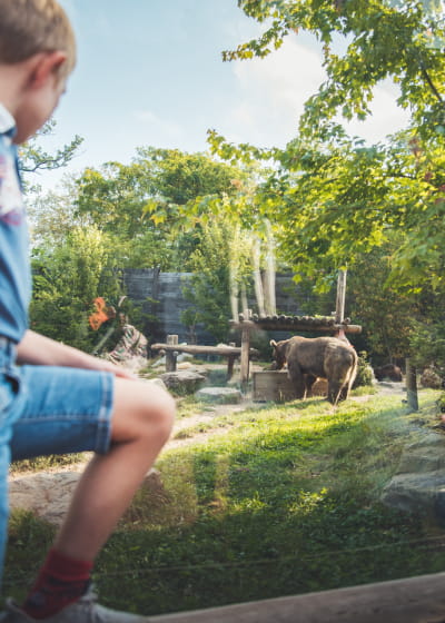 Les parcs animaliers du Grand Est