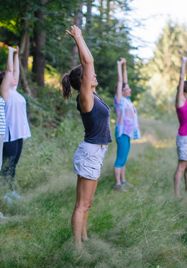 Au coeur de la forêt sylvothérapie