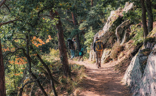 Balade aux châteaux de Ribeauvillé
