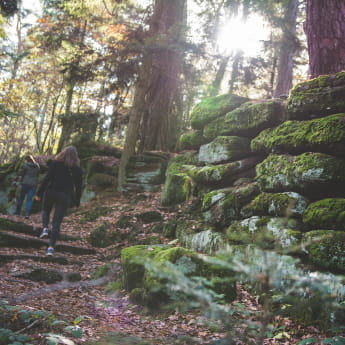 Mur païen Mont Sainte-Odile