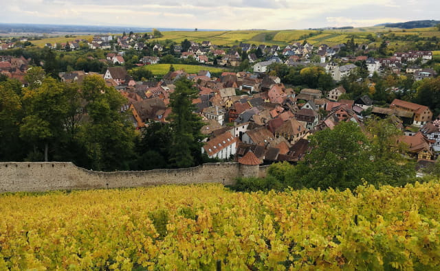 Ribeauvillé