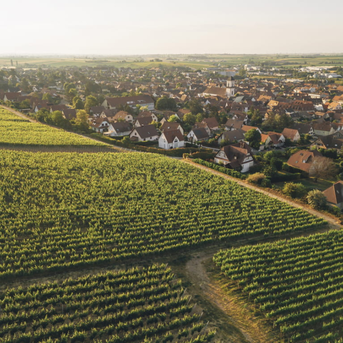 Vue du vignoble et village alsacien