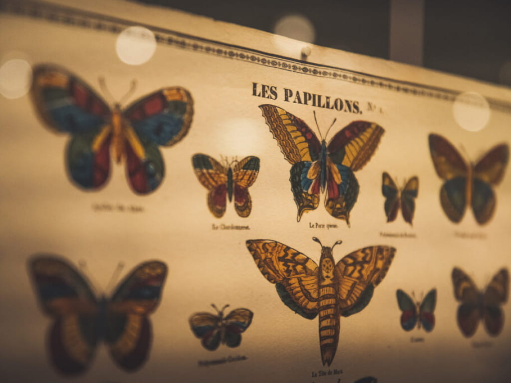 Musée de l&#039;image