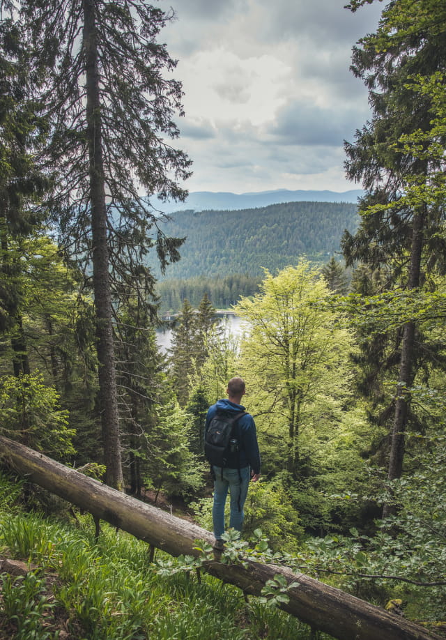 Point de vue sur le Lac Vert