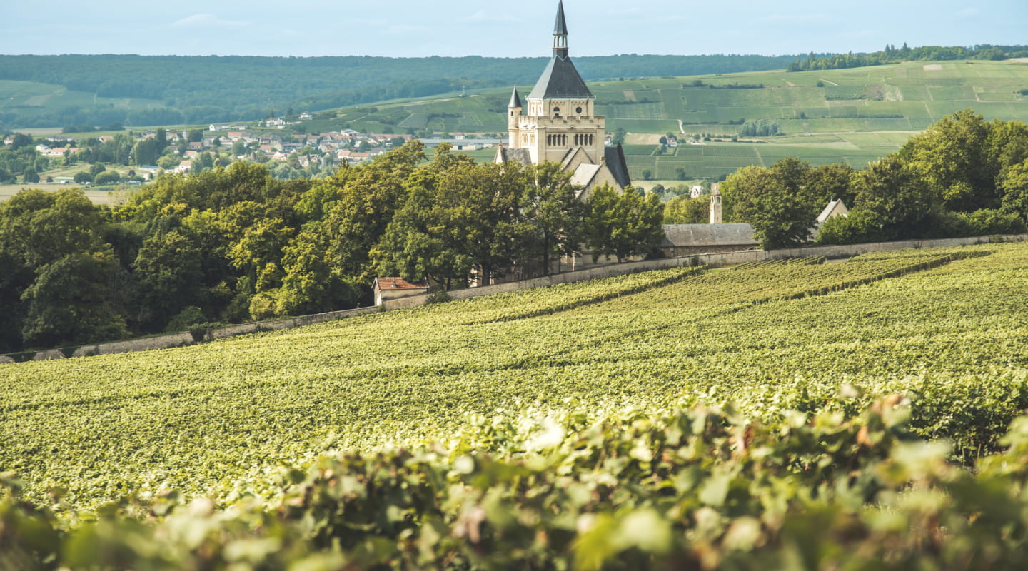 Vue depuis les vignes Mémorial Dormans
