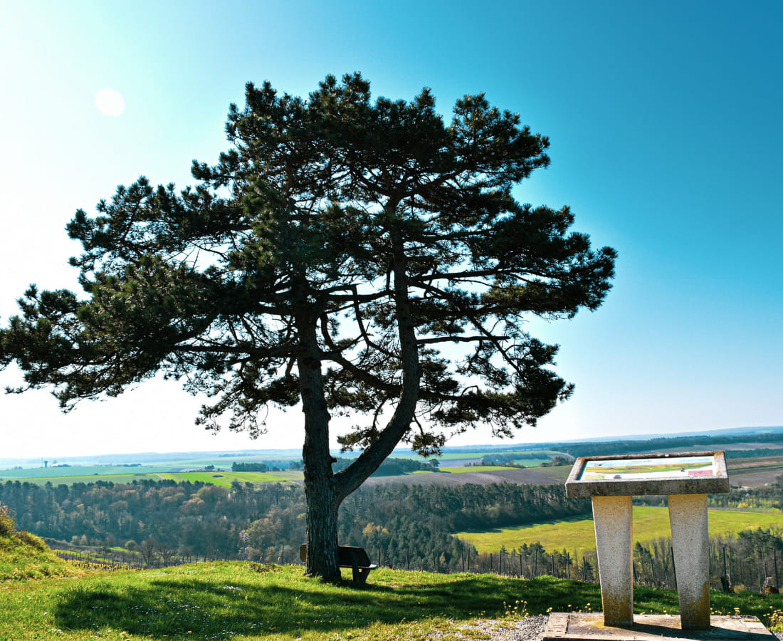 Point de vue Plateau de Blu