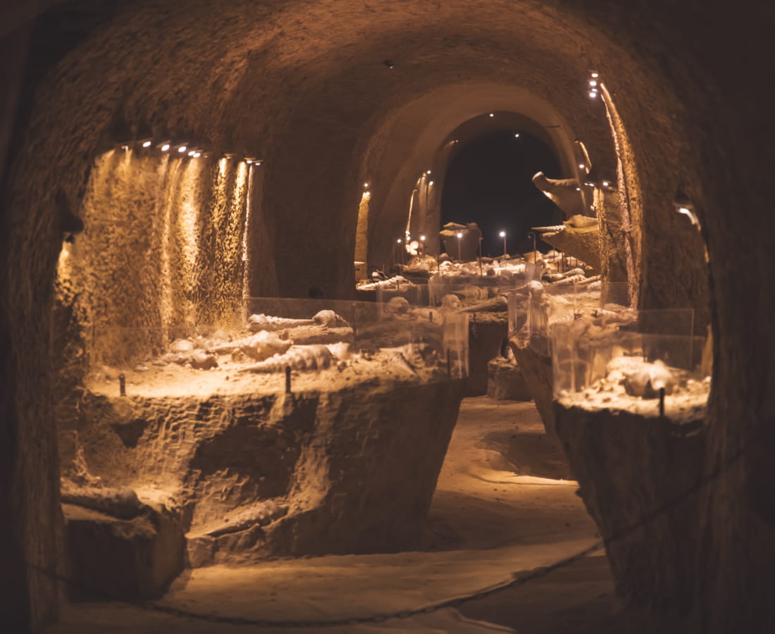 La Cave aux Coquillages à Fleury-la-Rivière