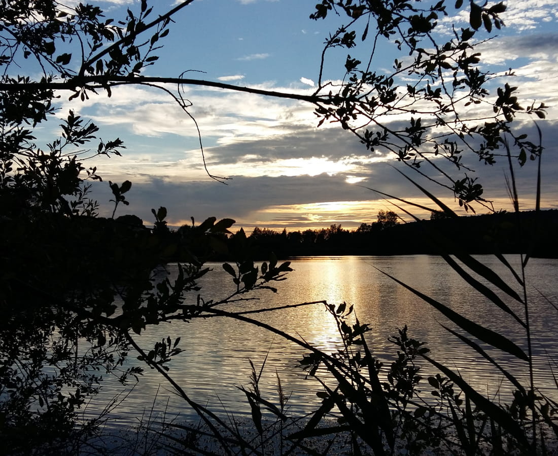 Marais de Villevenard