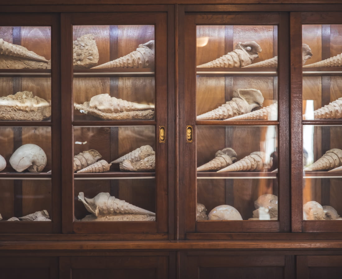 La Cave aux Coquillages à Fleury-la-Rivière