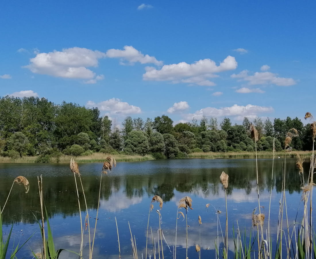 Marais de Villevenard