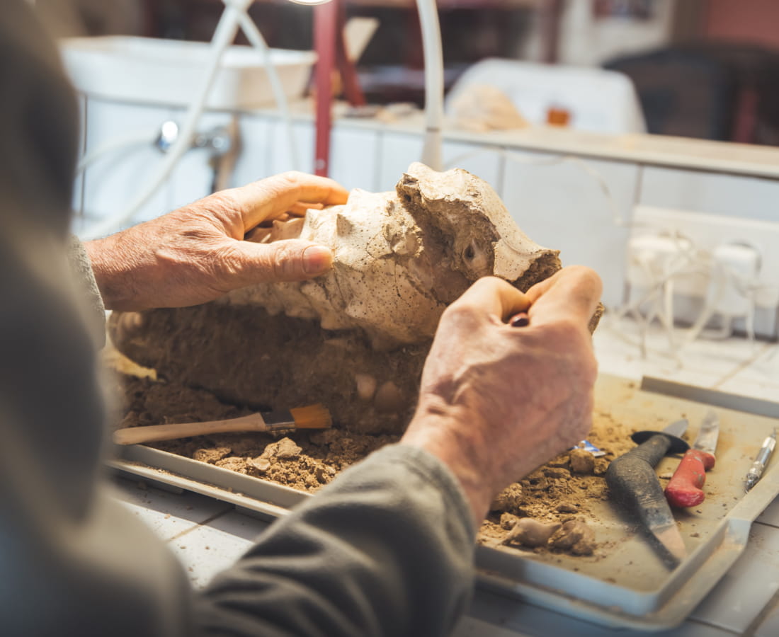 La Cave aux Coquillages à Fleury-la-Rivière