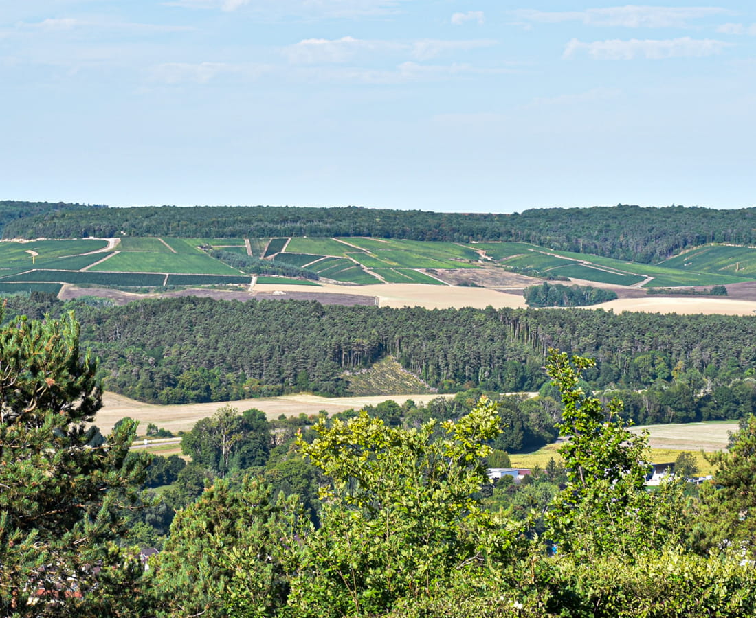 Point de vue Notre Dame des Vignes