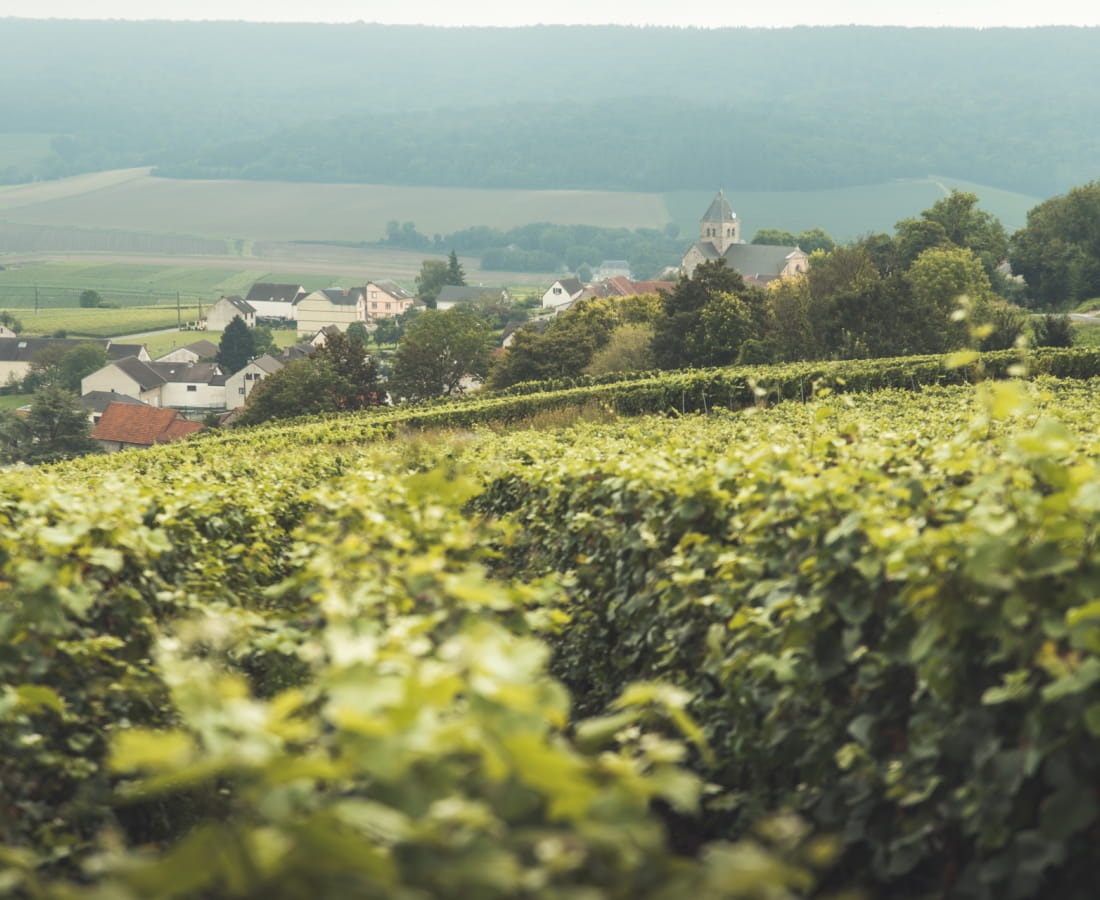 point de vue sur Fleury-la-Rivière