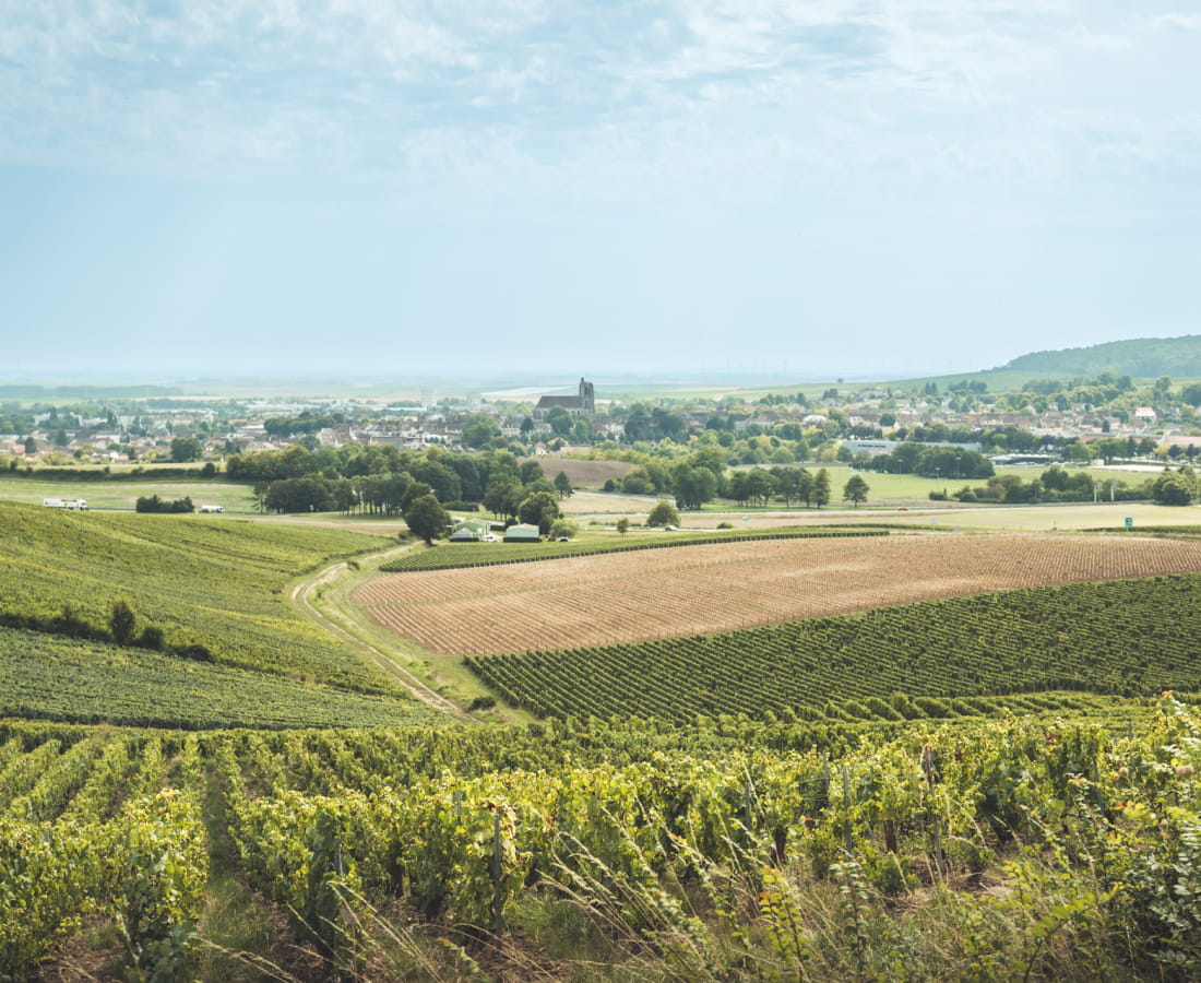 Point de vue sur Sézanne