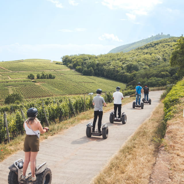 Balade en Segway dans les vignes