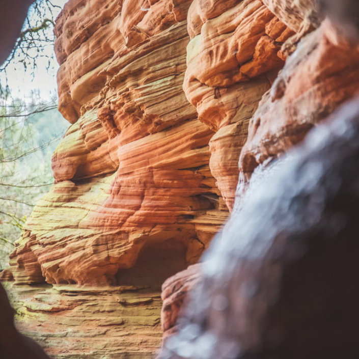 Randonnée à l&#039;Altschlossfelsen
