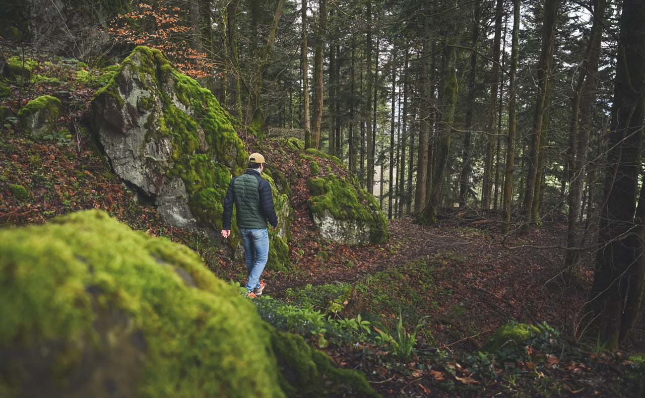 Vallée de la Bruche