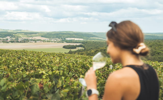 Balade et dégustation dans le vignoble Aubois